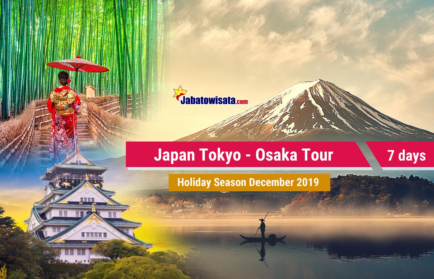 7 day guided tour japan