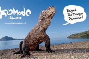 Pengalaman Tidak Terlupakan di Pulau Komodo, Indonesia
